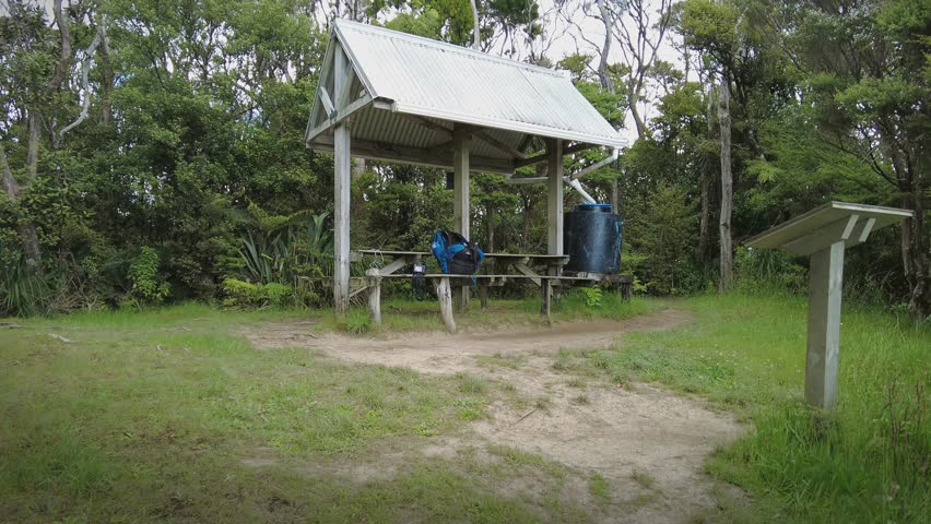 Native forest and hiking shelter on the Cape Brett Peninsula hike, Bay of Islands, Northland, New Zealand