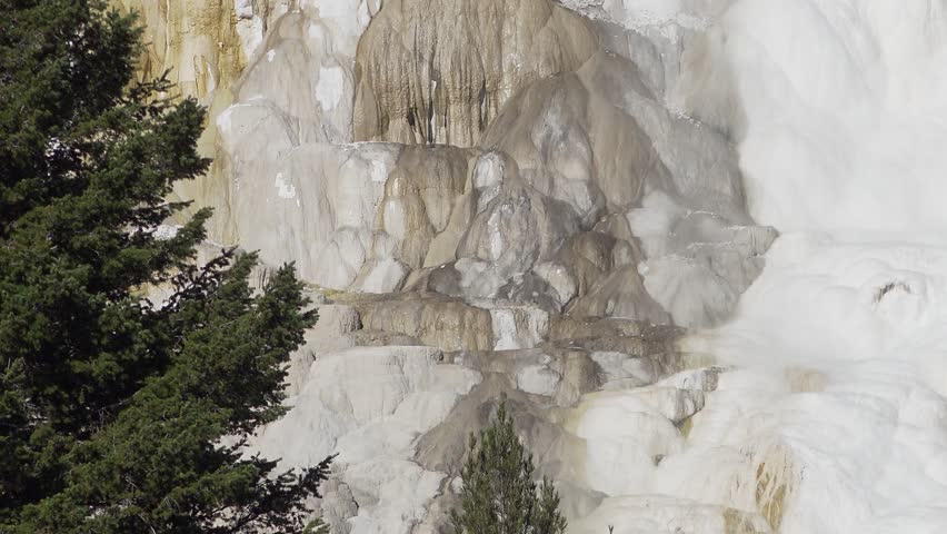Close up of mineral deposits near Mammoth Hot Springs, Yellowstone National park, Wyoming, USA
