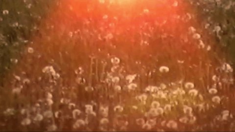 Handheld Vhs Vintage Film, VHS-C summer sunset memories vibes, sunshine colors, 8mm analog film. 1980'S Vhs Home Video, 1990 Archival Vhs. Retro VHS footage, Scan from vintage VHS-C Betacam Stock-video