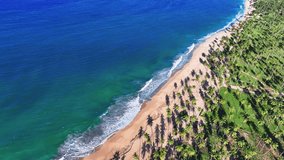 Dominican palm beach with yellow sand and turquoise ocean from a bird's eye view. Summer seascape background. Rest and vacation concept. Coconut palms on a Caribbean tropical island.