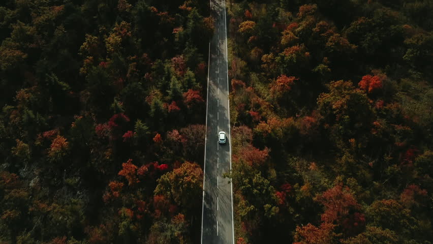 car going on autumn forest road, aerial view. Lush forests in the autumn season, urban road crossing the nature reserve.