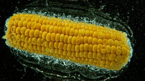Super slow motion of falling whole corn into water. Isolated on black background. Filmed on high speed cinema camera, 1000fps. - Powered by Shutterstock - Get 15% off with code: PIKWIZARD15