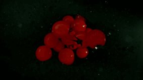 Super Slow Motion of Falling Cherry Tomatoes. Splashing Into Water on Black Background. Filmed on High Speed Cinema Camera, 1000 fps.