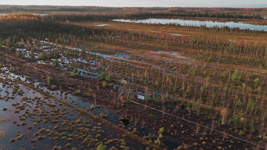 drone shot skillfully captures a wooden watchtower amidst an overgrown lake during morning hours of autumn