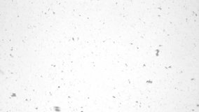 snowfall on a winter day, large flakes of snow falling from the sky view from below