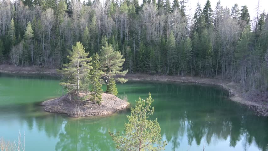 Island with trees on a groundwater area 