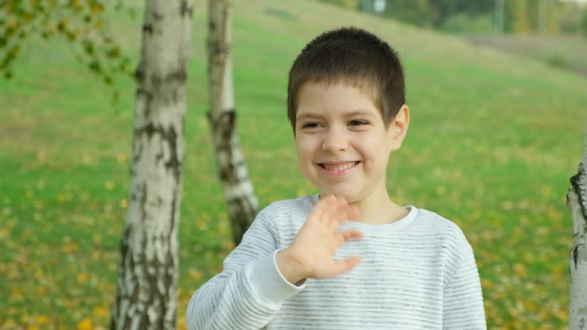 Cute 6 year old boy waving his hand while standing in autumn park. Children's greeting Royalty-Free Stock Footage #1111635105