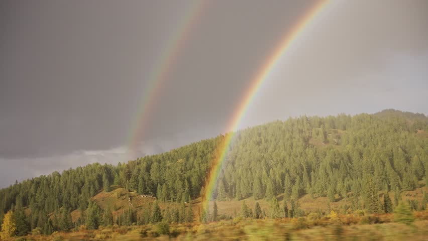 Double rainbow over dense green forest. Two colourful rainbows against background of gray overcast sky, covered with rain and storm clouds. View from window of moving car, automobile, drone.