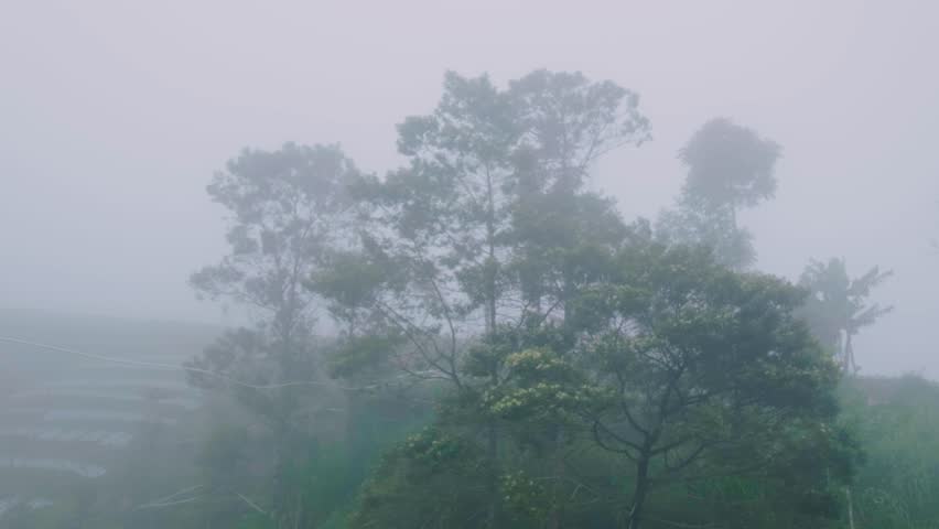 View of agricultural land in the highlands covered in fog