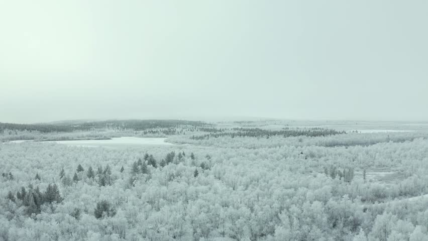 Aerial view of a stark winter landscape. Frosted trees and icy terrains, all enveloped in a blanket of snow. The subdued hues of winter convey quiet beauty of the season. Royalty-Free Stock Footage #1111640149