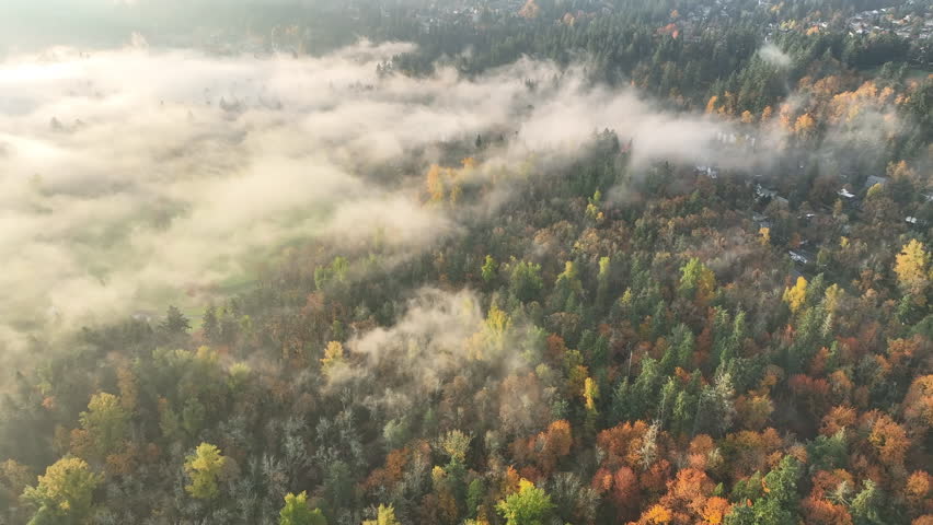 Autumn brings shorter days and wet, cooler weather to Oregon. The leaves of a variety of trees in Oregon