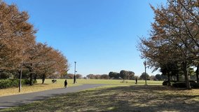 Tokyo Park stroll video 2023 autumn