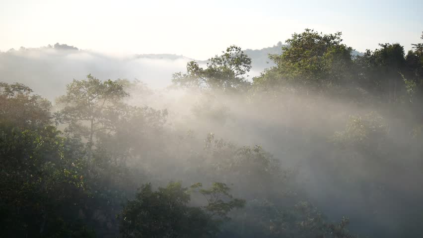 The mist flows through the mountain forest, Sun shining into tropical forest, Mist drifts through mountain ridges in the morning, slow floating fog blowing cover on the top of mountain  | Shutterstock HD Video #1111660213