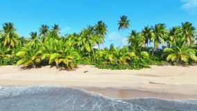 Paradise sunny Hawaiian white sand beach. Coconut palms and turquoise sea on a tropical island. Summer vacation and tropical beach concept. Luxurious landscape for travel, a wonderful place to relax.