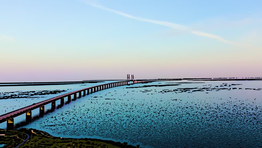Oresund bridge. A combined road and rail cable-stayed bridge stretches across a wide strait at dusk, its long approach viaduct supported by repeated concrete piers and twin pylons rising in the distance. The structure carries traffic on two levels, with railway below and roadway above, rendered in a stylized illustration with clean lines and flat color fields. The surrounding water is dotted with dark tidal flats and the sky transitions from soft pink near the horizon to pale blue above, with a thin contrail arcing overhead. The camera moves slowly in a steady aerial view, revealing the full span from the Swedish coast toward the artificial island of Peberholm and the tunnel beyond. The scene conveys a calm, engineered serenity at twilight, emphasizing the landmark