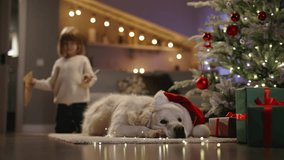 Sweet little boy and his beloved dog huddled by Christmas tree, writing letters to Santa Claus. Anticipation and joy of amazing Xmas New Year. Children's celebration concept. Cinematic advertising 