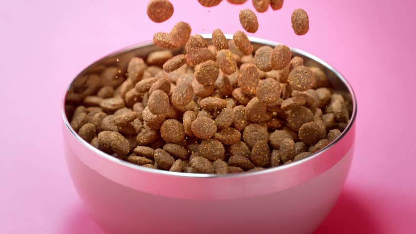 Super Slow Motion Shot of Female Dog Food Falling into Pink Bowl Isolated on White Background at 1000fps. | Shutterstock HD Video #1111671215