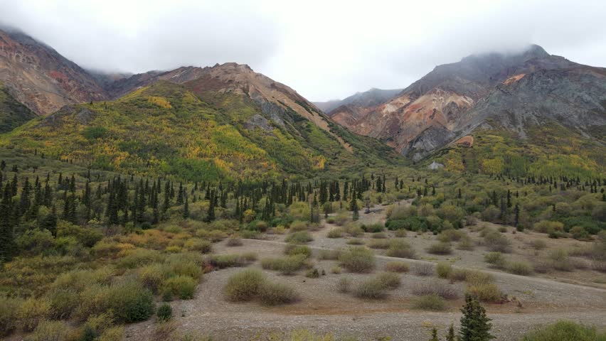 Arctic lookin field of small trees changing leaves with colorful mountains in the background surrounded by foggy looking low clouds