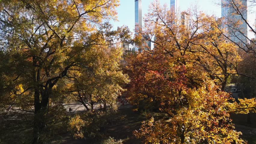 Autumn Fall. Autumnal Central Park view from drone. Aerial of NY City Manhattan Central Park panorama in Autumn. Autumn in Central Park. Autumn NYC. Central Park Fall Colors of foliage.