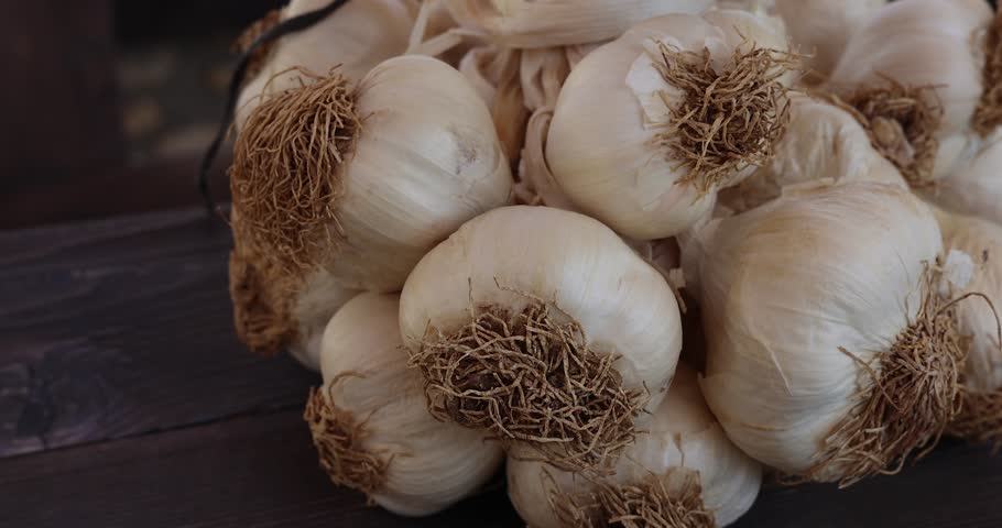 Close-up a bunch of garlic along with plant roots. The bundles of dried garlic from organice farm 4k | Shutterstock HD Video #1111694603