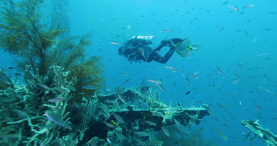 Scuba Diver Exploring Big Ship Wreck. Schools of fish swim around it. The ship was Japanese and sunk during World War II off the Philippines | Shutterstock HD Video #1111694609