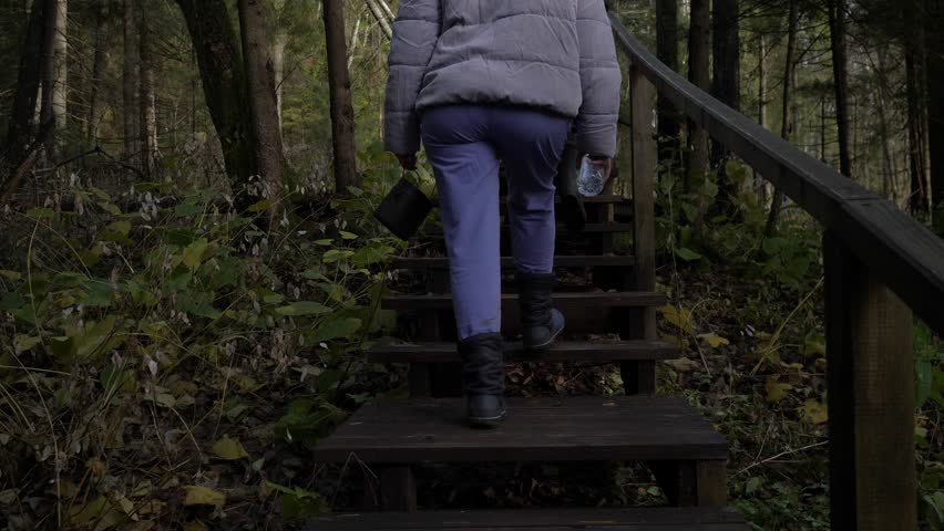 Rear view of a group of tourists walking along wooden bridges in the forest in the evening