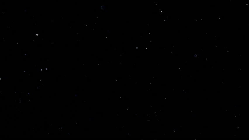 Natural Organic Dust Particles Floating On Black Background. Dynamic Dust Particles Randomly Float In Space. Shimmering Glittering Dust Particles With Bokeh. Slow motion on Black Background. | Shutterstock HD Video #1111695063