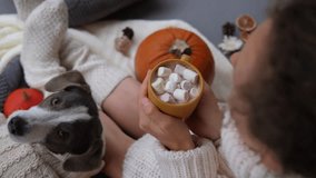 Woman in cozy sweater and socks, warms hands with hot coffee with marshmallows. Cinematic video: cute dog in sweater looking at camera, laying near pumpkins. Warms together with your dog in sweater