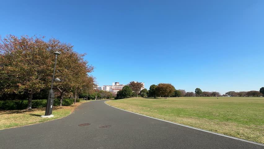 Tokyo Park stroll video 2023 autumn