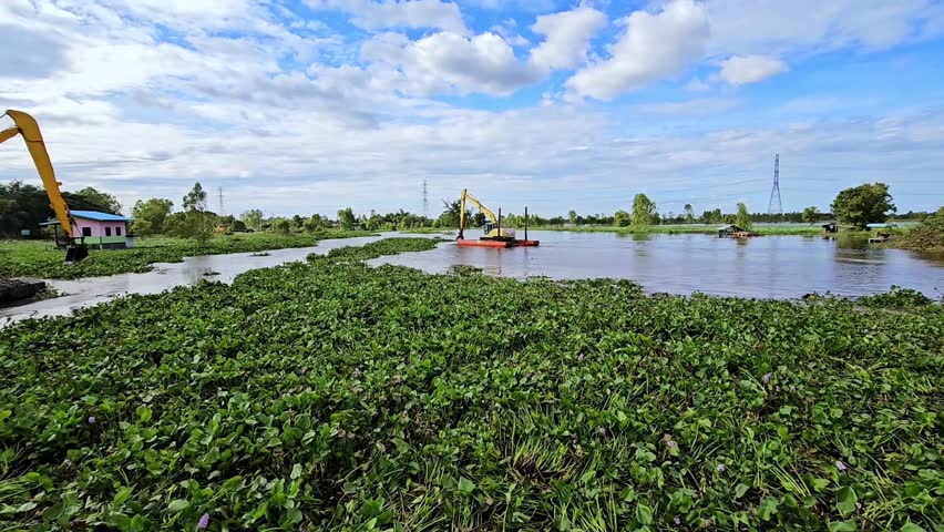Machines are removing water hyacinth that is blocking a water canal in Thailand.