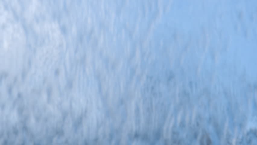 Shutterstock Video