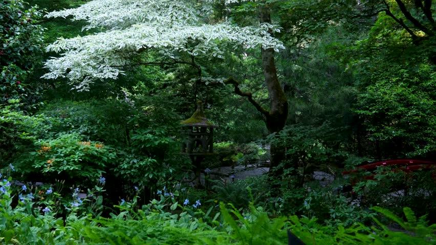 Japanese garden The famous gardens of Butchert on Victoria Island. Canada. The Butchart Gardens