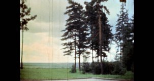  Coniferous trees grow in green grass, blue cloudy sky background. Natural landscape in summer park. No people. Pine in nature environment. 4k vintage footage. Retro archival film. 1980s archive