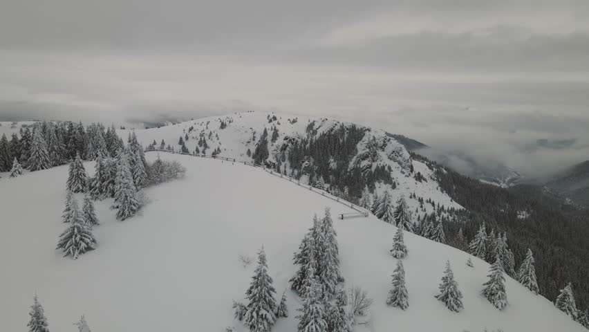 Winter in Serba, frozen trees, snow landscape in Kopaonik