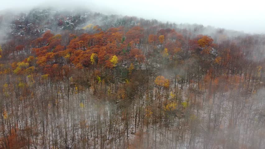 Aeriel View of Brisk Foggy Morning Atop Mountainside Forest with Red and Yellow Leaves
