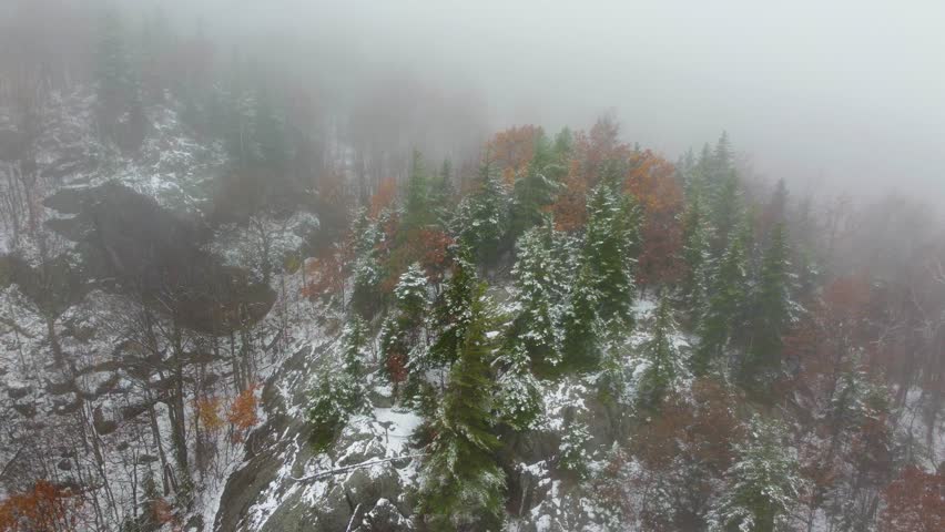 Drone Shot of Rocky Mountainside with Pine Trees and Heavy Fog in the Fall