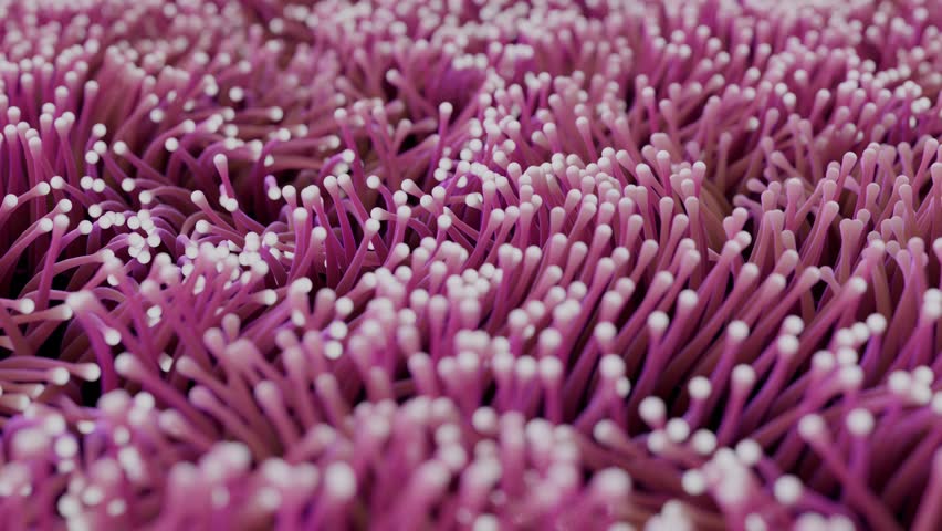 Mesmerizing 4K Looped 3D Animation of Sea Anemones in Motion | Shutterstock HD Video #1111754495