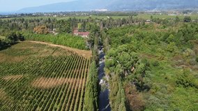 Top view of a two-line highway that runs between Cypress Alley and leads to the mountains drone - Powered by Shutterstock - Get 15% off with code: PIKWIZARD15