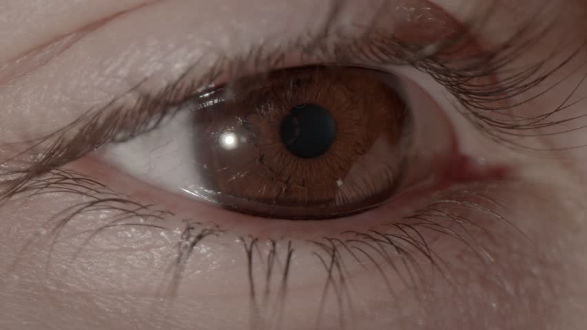 Closeup of a dark brown eye looking straight ahead and blinking | Shutterstock HD Video #1111759133