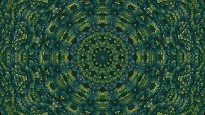 Kaleidoscope green fractal animation on hypnotic motion background. Dynamic ethnic abstract texture. Forest trees ornament. | Shutterstock HD Video #1111762433