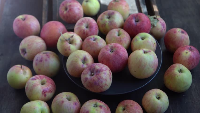 Apple harvest. Autumn fruit. Vitamin food. Red apples with a pink dot. | Shutterstock HD Video #1111775111