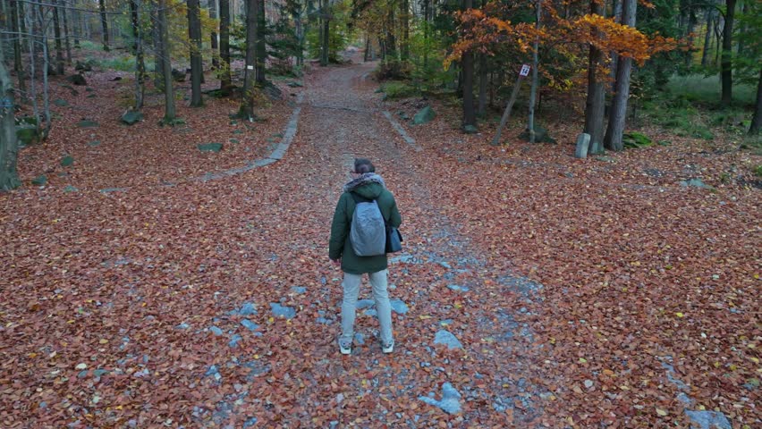 A traveler in a green coat treads a leaf-strewn trail in the forest, embracing the fall morning air. | Shutterstock HD Video #1111776037