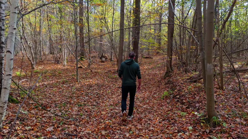 A hiker in green and black treks upward through a forest, with the low sun creating long shadows on the leafy path. | Shutterstock HD Video #1111776045