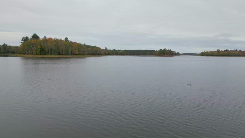 Autumn landscape of the forest near the river in Wisconsin, USA