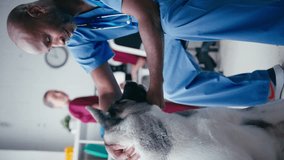 Vertical video close up of smiling male vet examining and stroking pet dog in surgery with colleagues in background - shot in slow motion