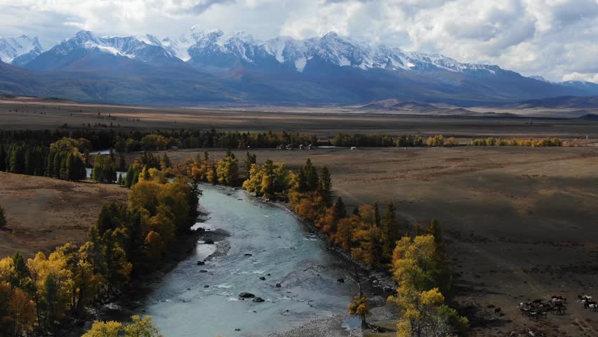 Top view of river flowing through plains trees to mountain. Wide winding body of water with deciduous trees growing on banks flows through large spacious field to foot of majestic snow-capped mountain | Shutterstock HD Video #1111785207