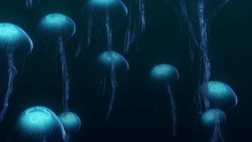3d looped animation of several jellyfish swimming upward in a graceful underwater ballet. Perfect for adding a tranquil and mesmerizing touch to your aquatic visuals.