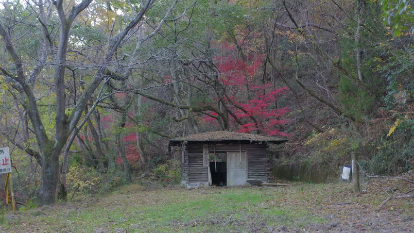 Abandoned Shack in the forest of Japan, written in Japanese "maintenance office"