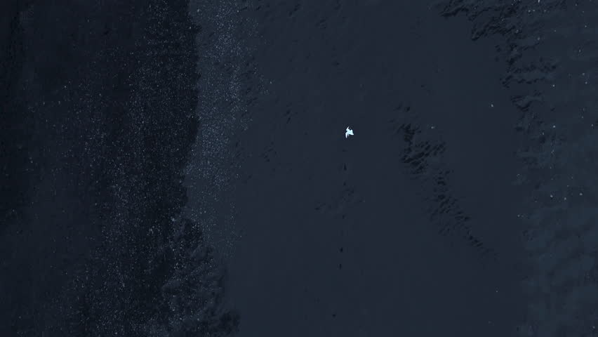 Long and vast coastline in Iceland with volcanic black-sanded beach and a running man looking like a small white spot on a famous mysterious shore. High quality 4k footage