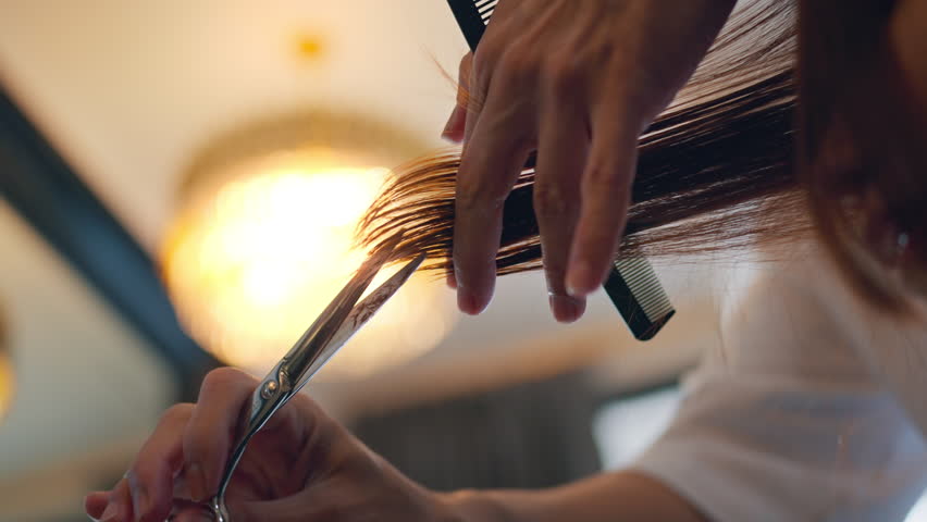 Closeup - Professional stylist cutting woman's hair in salon, Hairdresser trimming black hair with scissors.